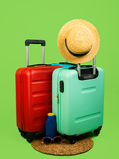 DayTrip Holidays